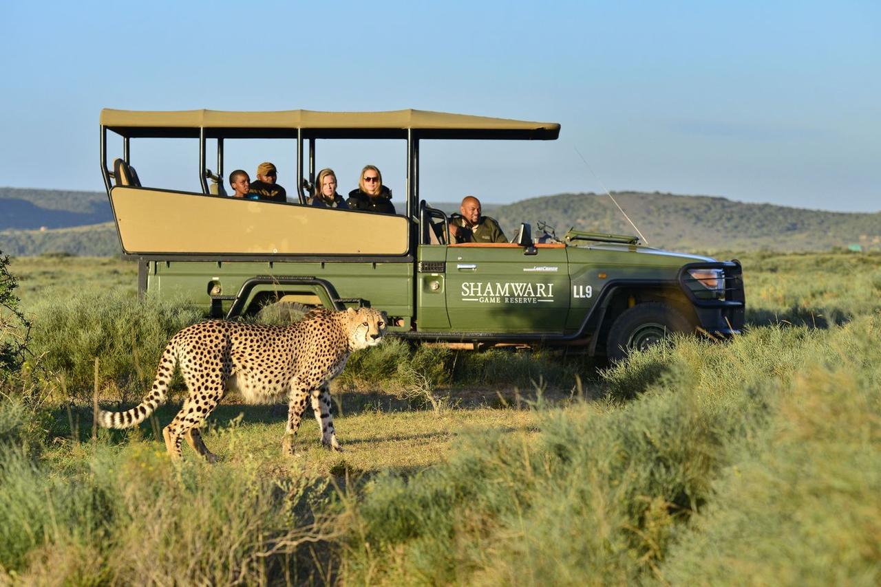 Shamwari Riverdene Paterson Buitenkant foto
