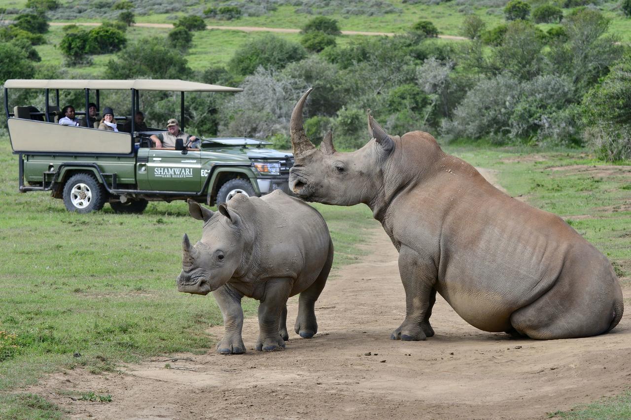 Shamwari Riverdene Paterson Buitenkant foto