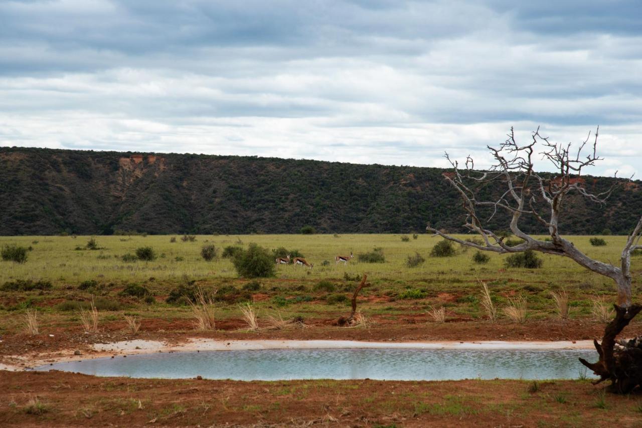 Shamwari Riverdene Paterson Buitenkant foto